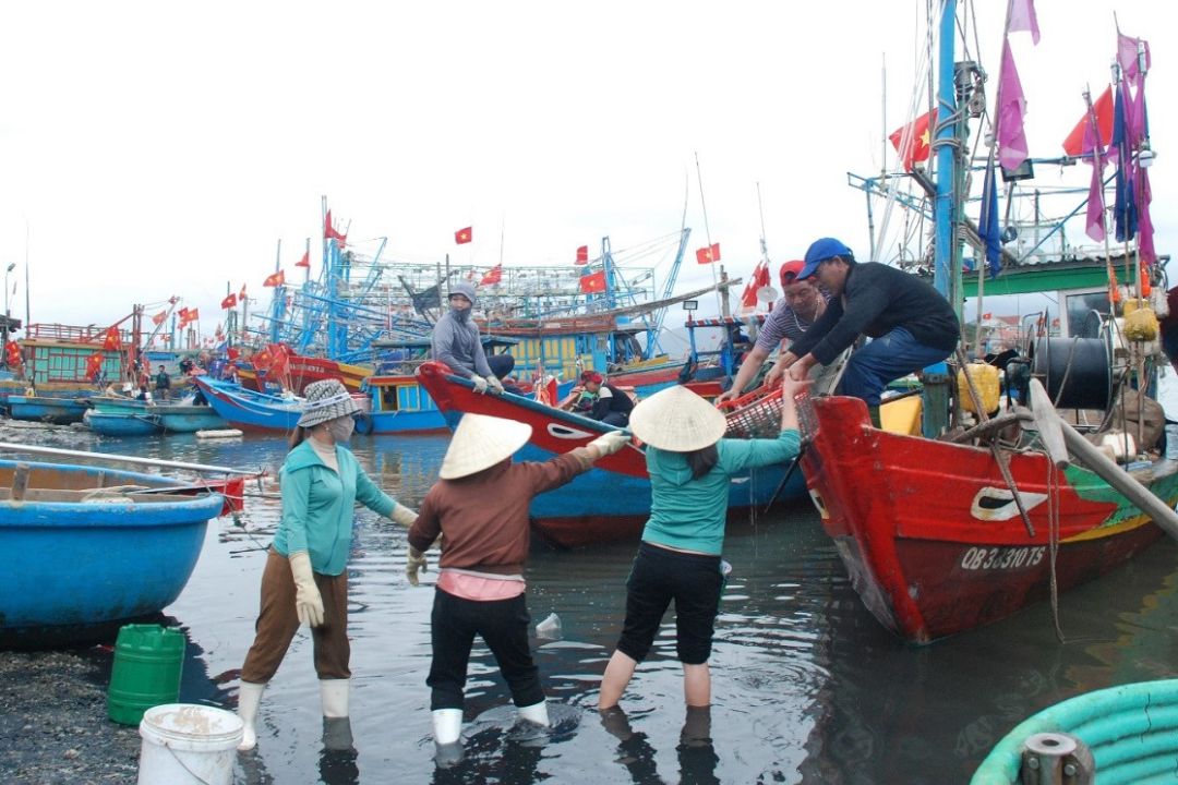 Quảng Bình đã lắp thiết bị hành trình cho trên 94% số tàu cá từ 15m trở lên.