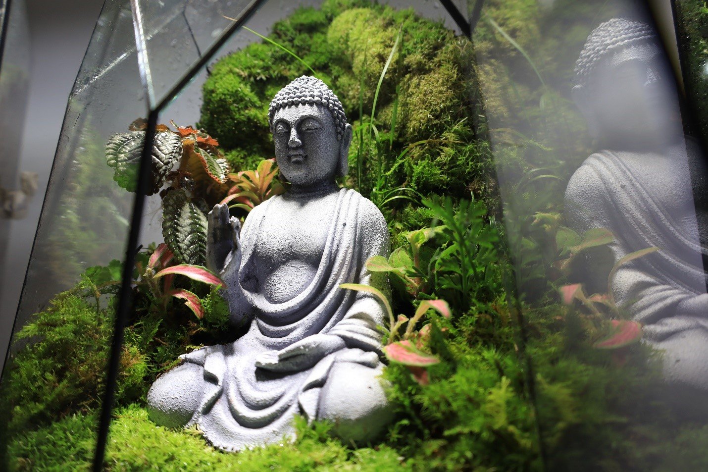 Các bình Terrarium như đựng cả khu rừng nguyên sinh.
