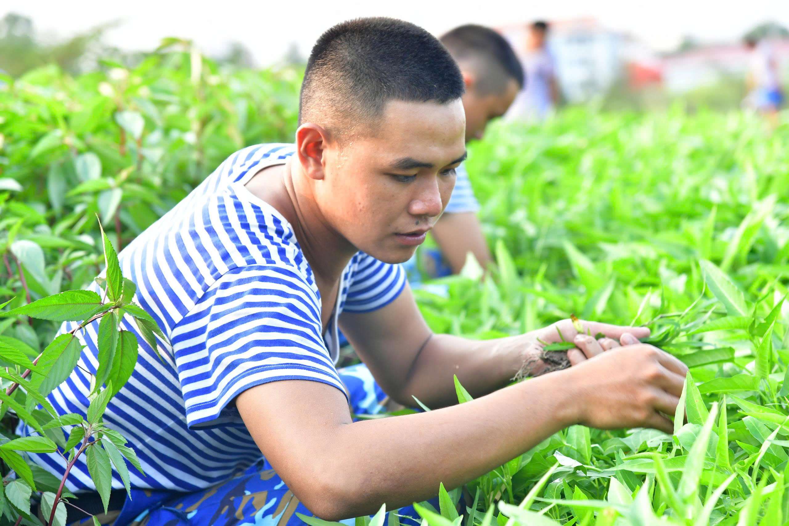 Dấu mốc trên hành trình trưởng thành của những chàng trai tuổi đôi mươi