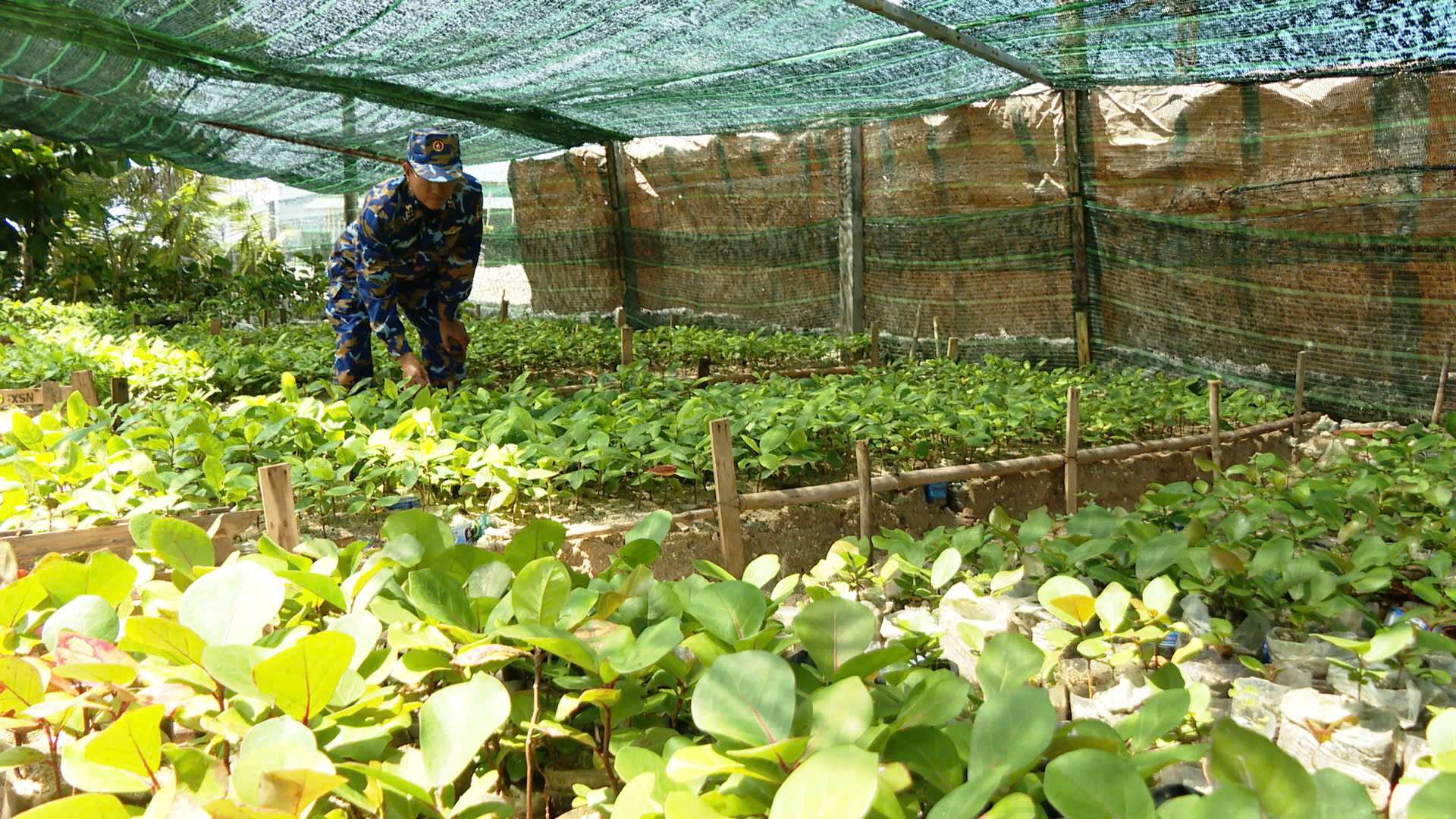 Vùng 4 Hải quân rút kinh nghiệm chương trình “Xanh hóa Trường Sa”