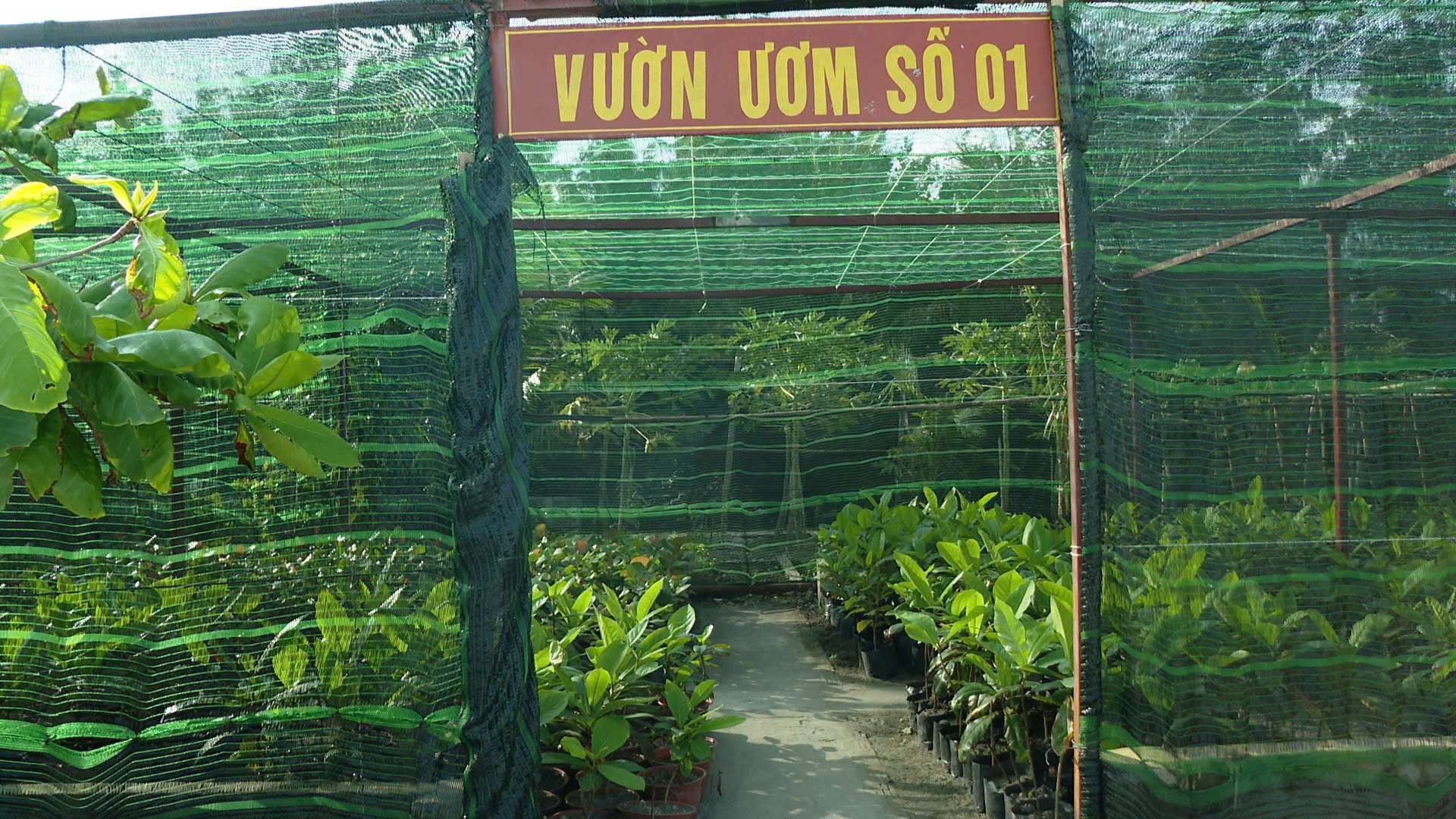 Vùng 4 Hải quân rút kinh nghiệm chương trình “Xanh hóa Trường Sa”